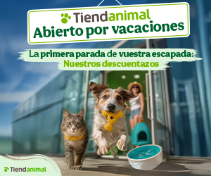 Publicidad MascotUp
