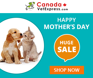 CanadaVetExpress - MothersDay_CVE_300x250