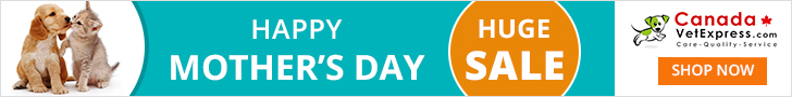 CanadaVetExpress - MothersDay_CVE_728x90