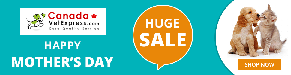 CanadaVetExpress - MothersDay_CVE_970x250