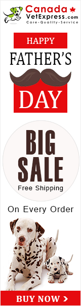 canadavetexpress.com logo