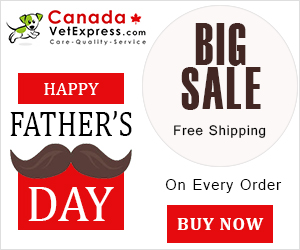 canadavetexpress.com logo