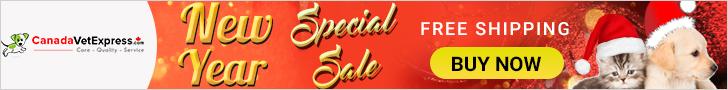 CanadaVetExpress - New Year Sale