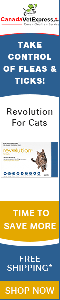 CanadaVetExpress - Revolution For Cats Deals