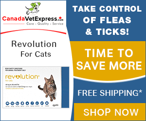 CanadaVetExpress logo