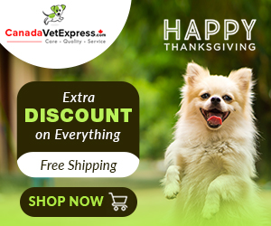 canadavetexpress.com logo