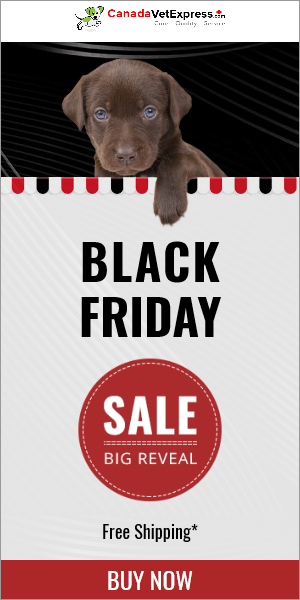 canadavetexpress.com logo