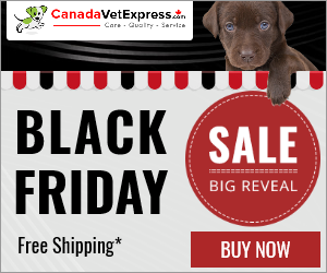 canadavetexpress.com logo