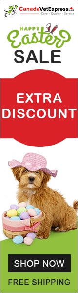 canadavetexpress.com logo