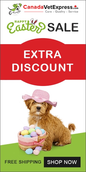 canadavetexpress.com logo