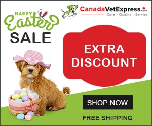 canadavetexpress.com logo