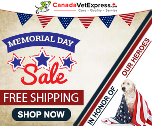 canadavetexpress.com logo