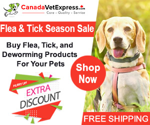 canadavetexpress.com logo