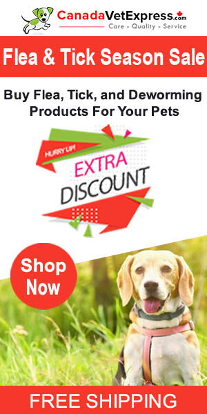 canadavetexpress.com logo