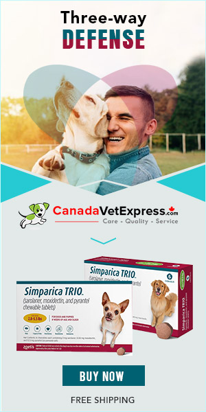 canadavetexpress.com logo