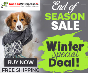 canadavetexpress.com logo