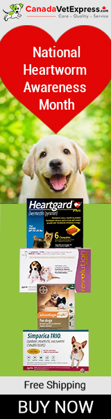 canadavetexpress.com logo