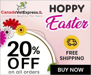 canadavetexpress.com logo