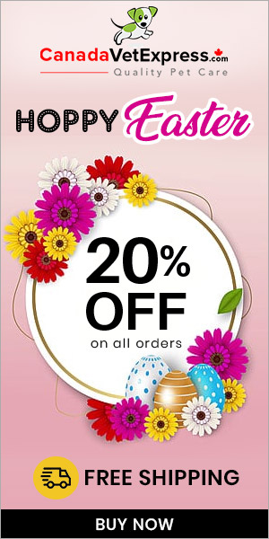 canadavetexpress.com logo