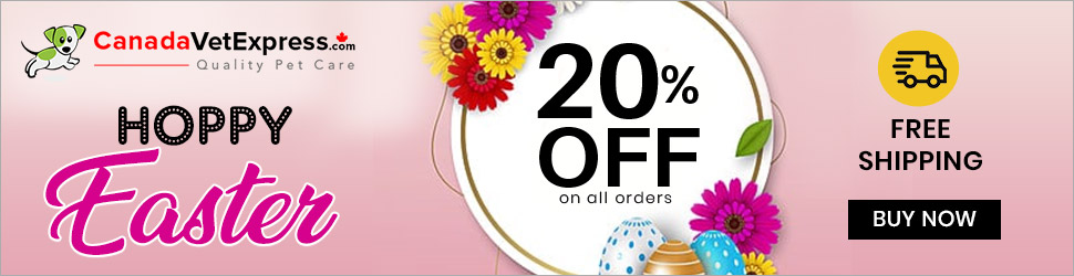 canadavetexpress.com logo