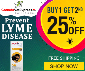 canadavetexpress.com logo