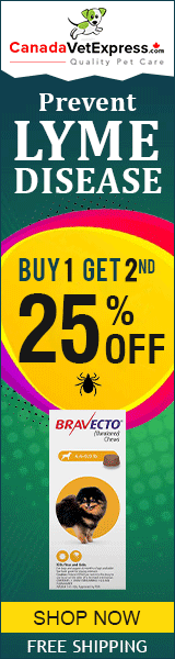 canadavetexpress.com logo