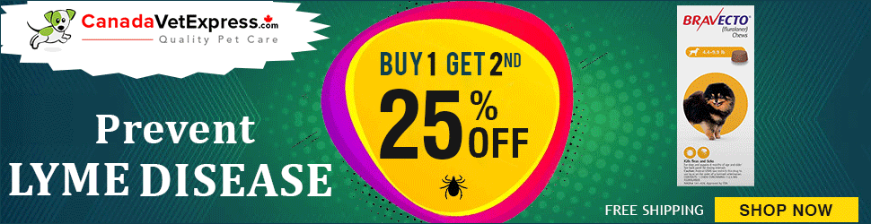 canadavetexpress.com logo