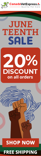 canadavetexpress.com logo