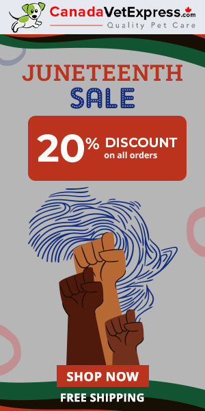 canadavetexpress.com logo