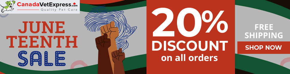 canadavetexpress.com logo