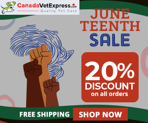 canadavetexpress.com logo