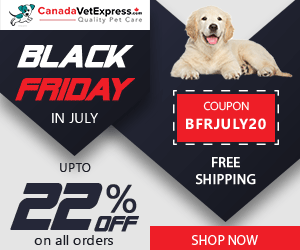 canadavetexpress.com logo