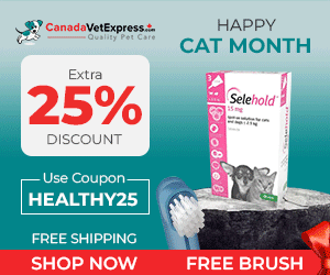 canadavetexpress.com logo