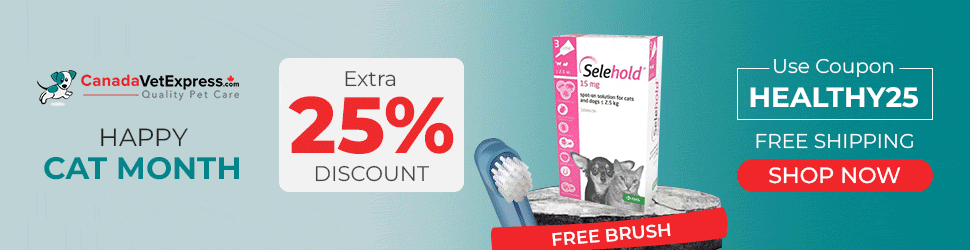 canadavetexpress.com logo