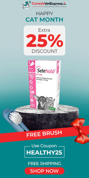 canadavetexpress.com logo