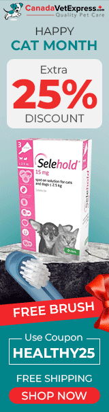 canadavetexpress.com logo