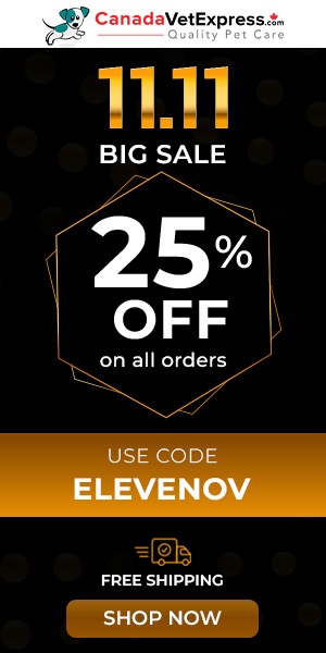 canadavetexpress.com logo