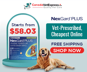 canadavetexpress.com logo