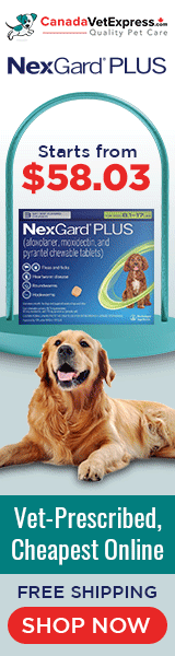 canadavetexpress.com logo