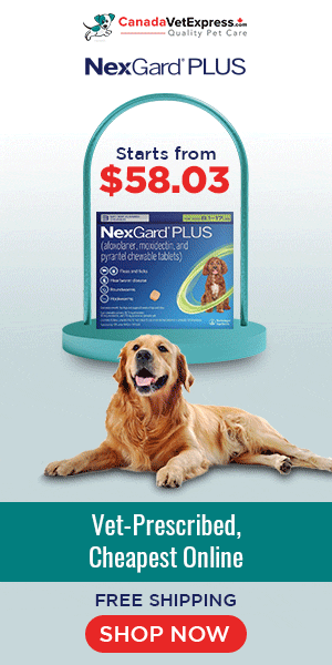 canadavetexpress.com logo