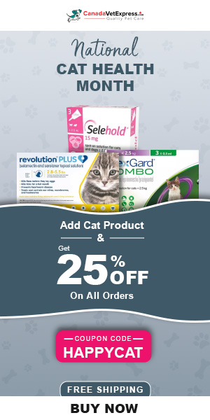 canadavetexpress.com logo