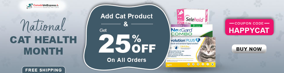 canadavetexpress.com logo