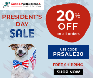 canadavetexpress.com logo