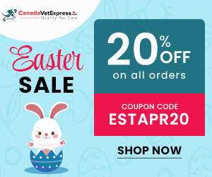 canadavetexpress.com logo