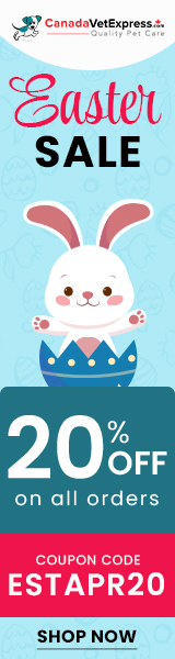 canadavetexpress.com logo