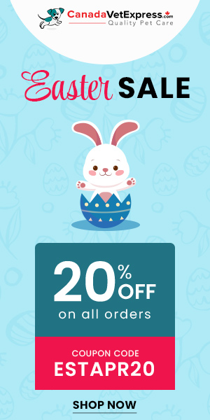 canadavetexpress.com logo