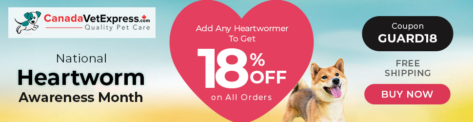 canadavetexpress.com logo