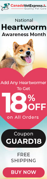 canadavetexpress.com logo