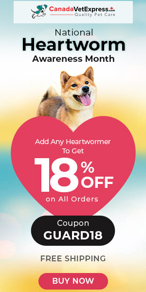 canadavetexpress.com logo