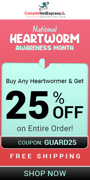 canadavetexpress.com logo